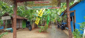 Banana Garden